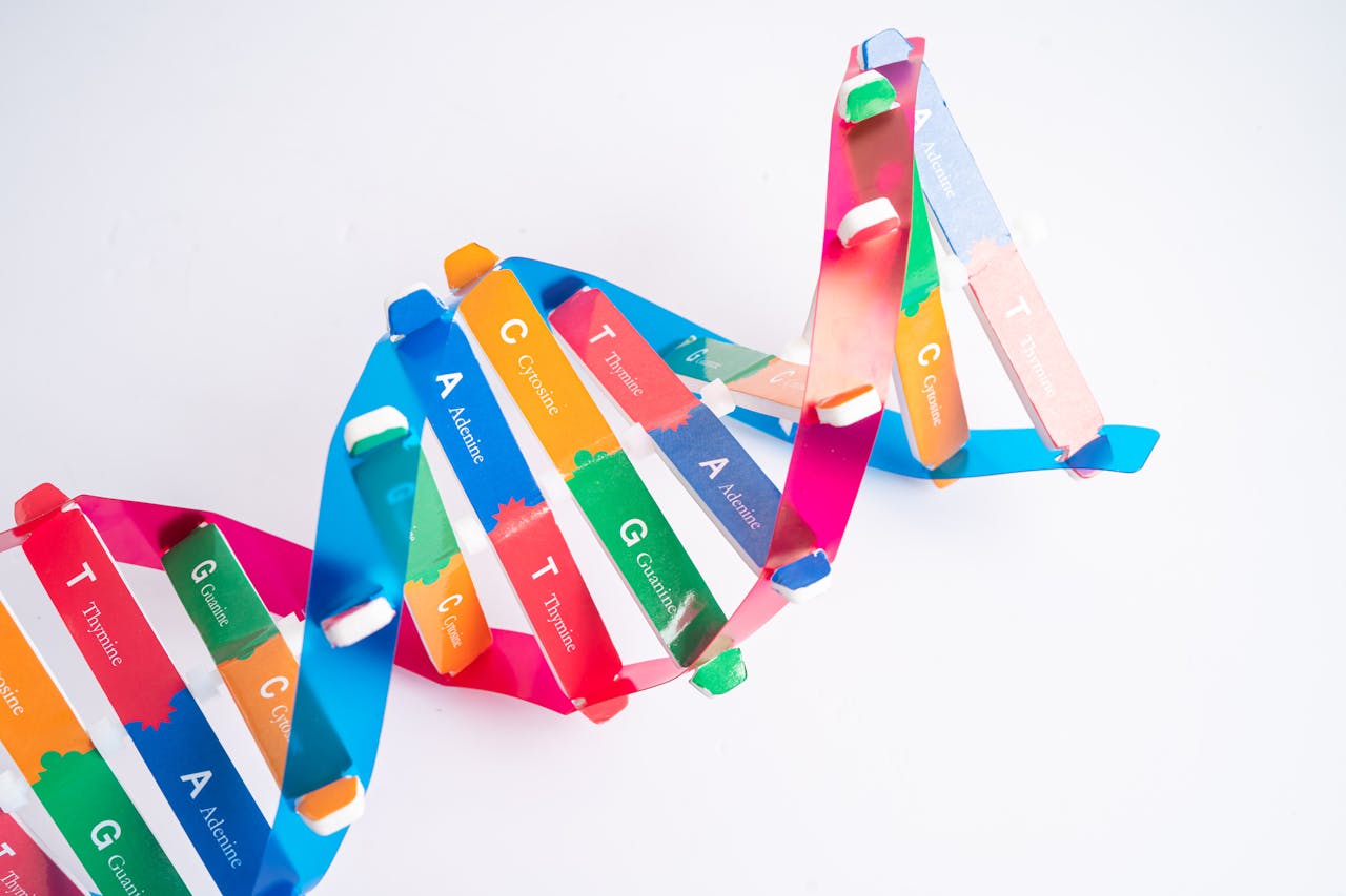 Hoe herstel je een fout in het dna? kleurige dnastreng