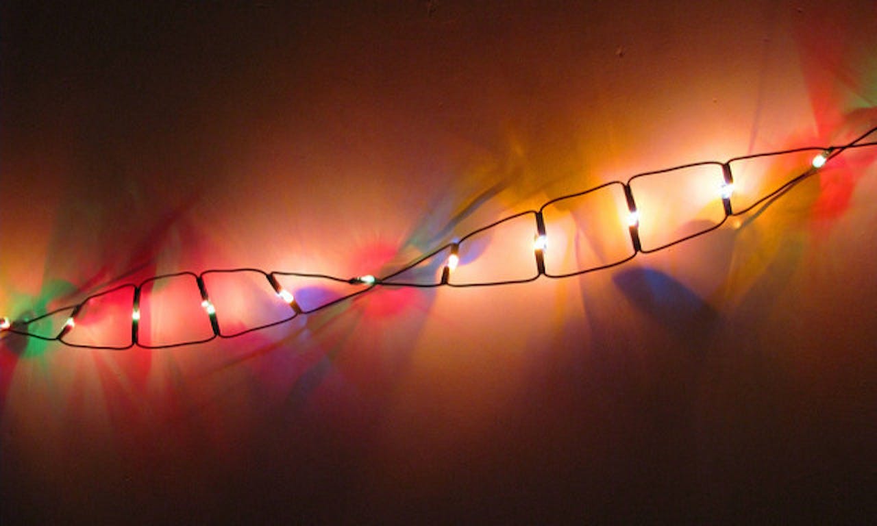 Stress kan de manier waarop je DNA tot expressie komt beïnvloeden.