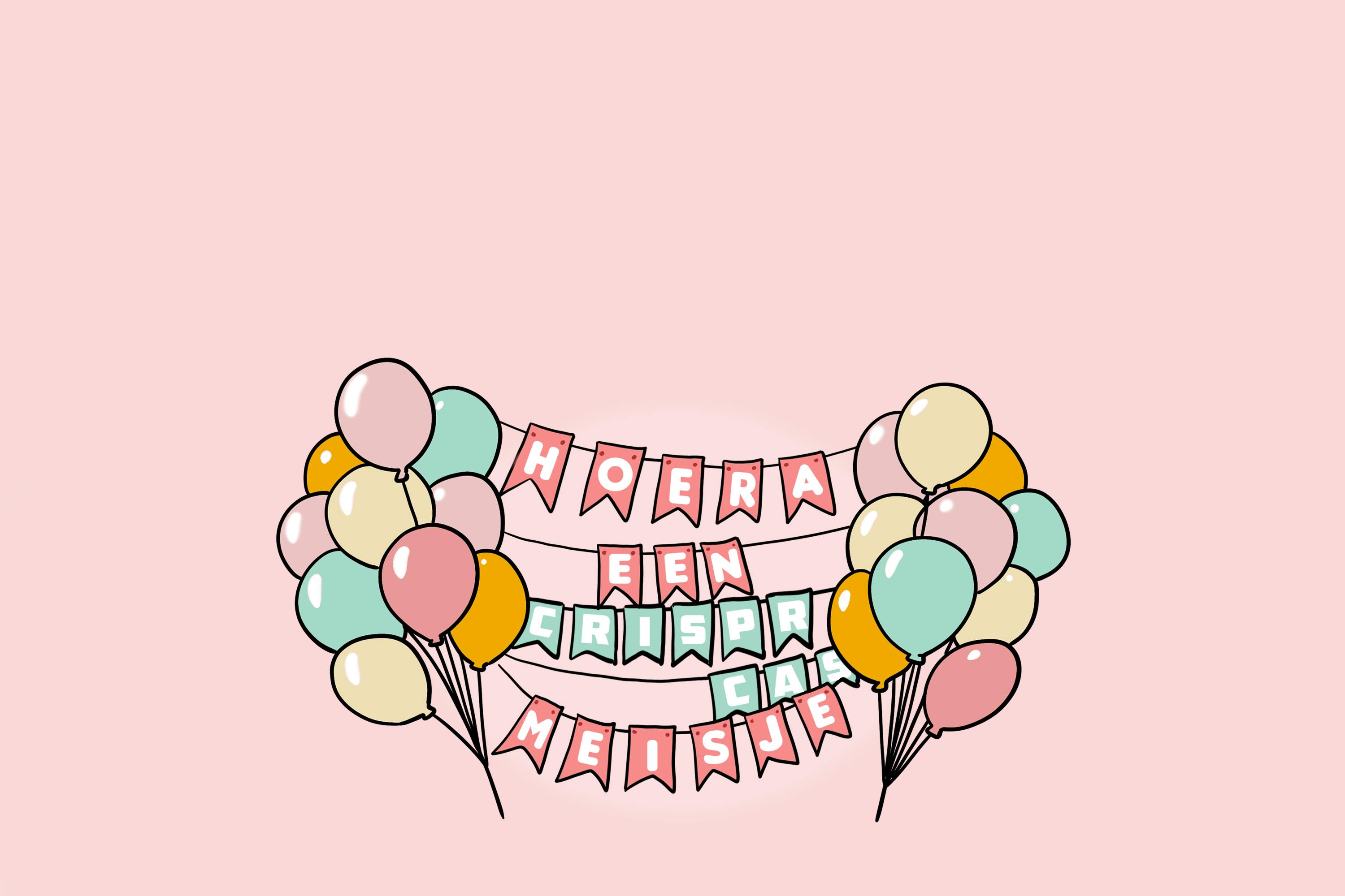 Slingers en ballonnen: hoera een meisje