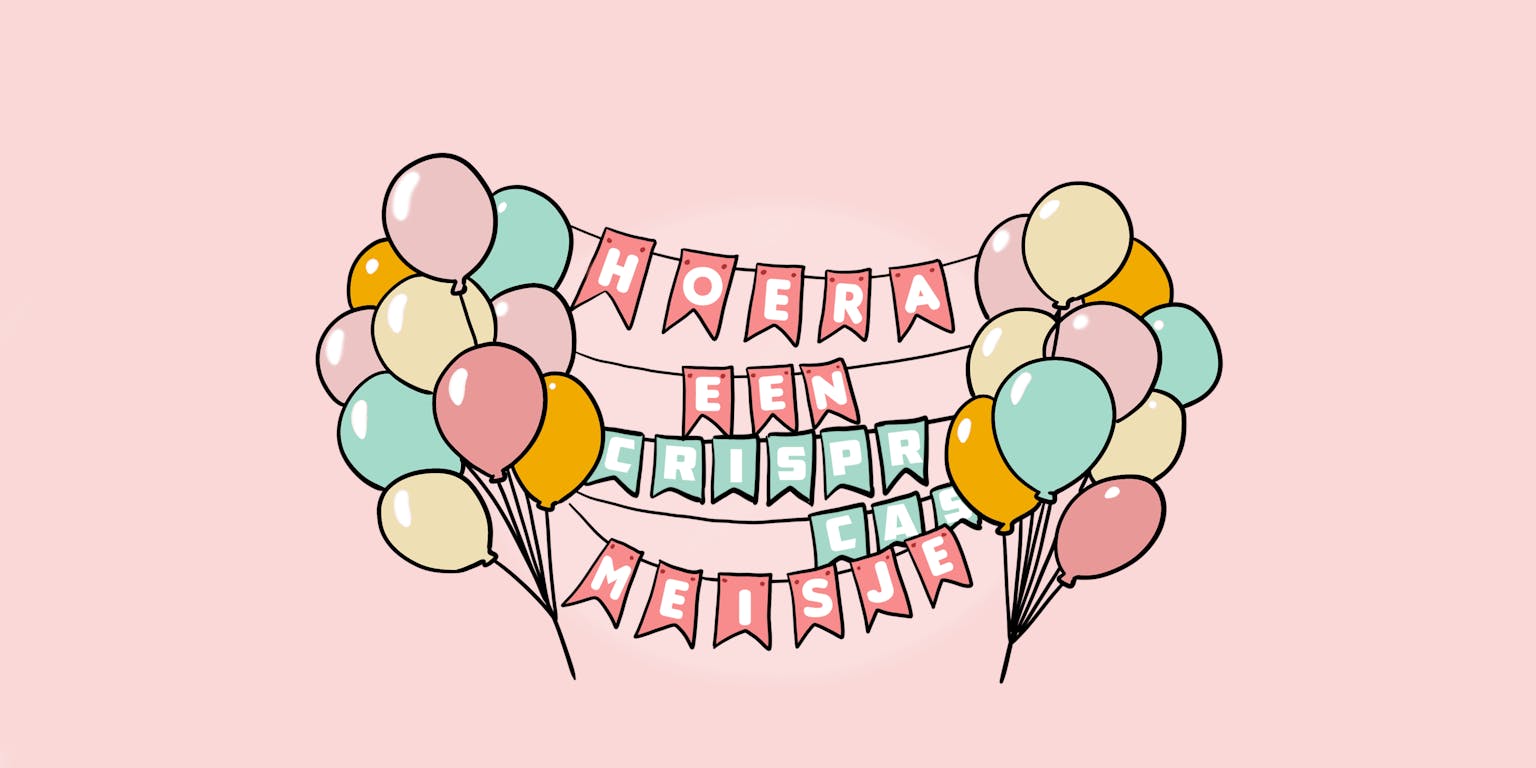 Slingers en ballonnen: hoera een meisje