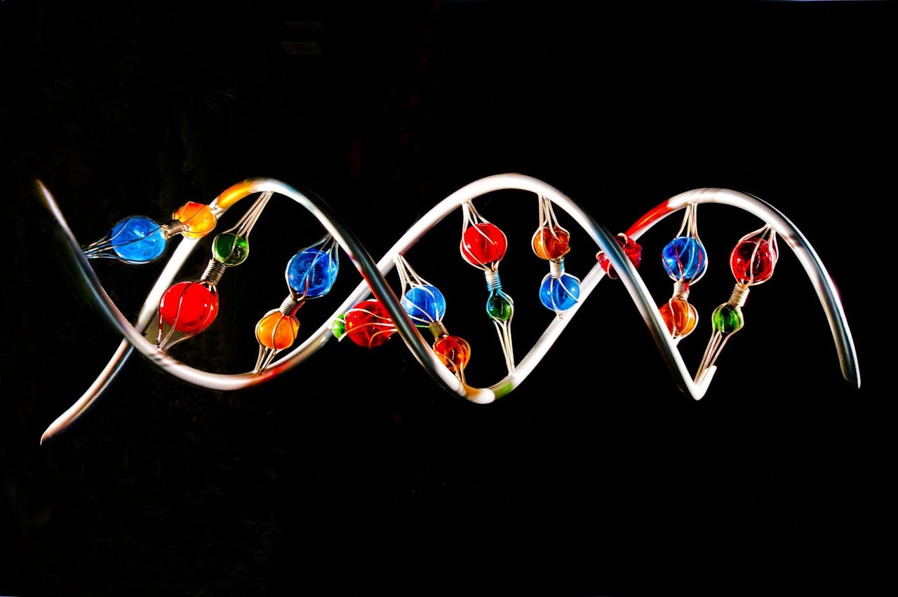 Een kleurrijke DNA-streng op een zwarte achtergrond.