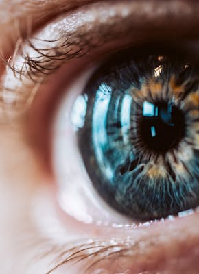 Close-up van een menselijk oog