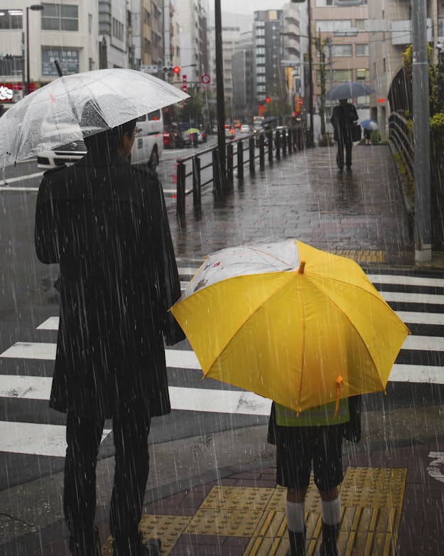 Een volwassene met een doorzichtige paraplu en een kind met een gele paraplu staan in de regen te wachten bij een zebrapad. Een volwassene met een doorzichtige paraplu en een kind met een gele paraplu staan in de regen te wachten bij een zebrapad.