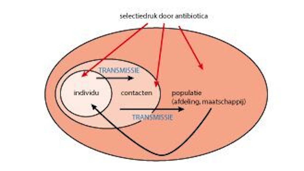 Een diagram die de selectiedruk door antibiotica weergeeft. Er wordt gekeken naar het individu, de populatie en transmissie.