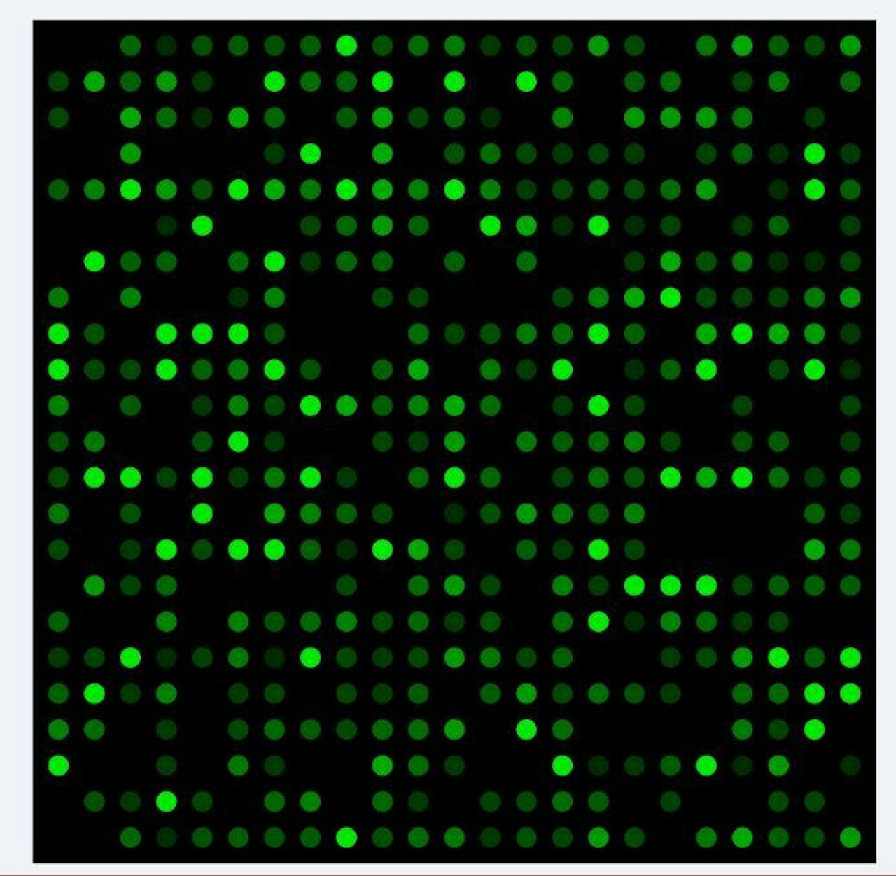Moderne technieken laten precies zien welk deel van het genoom veel (helder groen), weinig (zacht groen) of geen (zwart) expressie vertoont. Door een ‘heatmap’ van een sterk reagerende patiënt te vergelijken met die van een gewone patiënt, wordt inzichtelijk waar in het immuunsysteem de reactie uit de hand loopt.