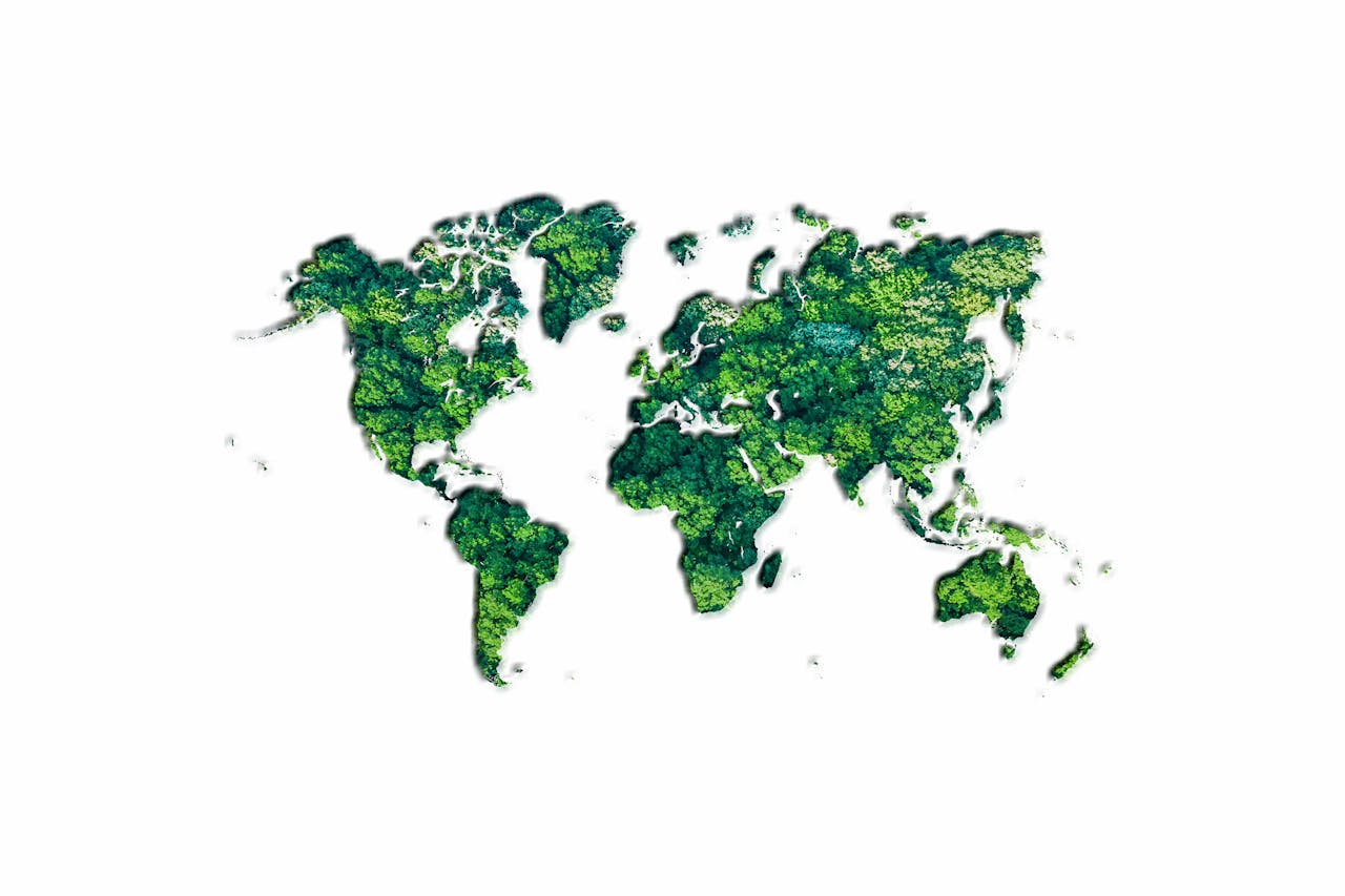 Wereldkaart op een witte achtergrond. Alle continenten zijn opgevuld met een foto van bos.