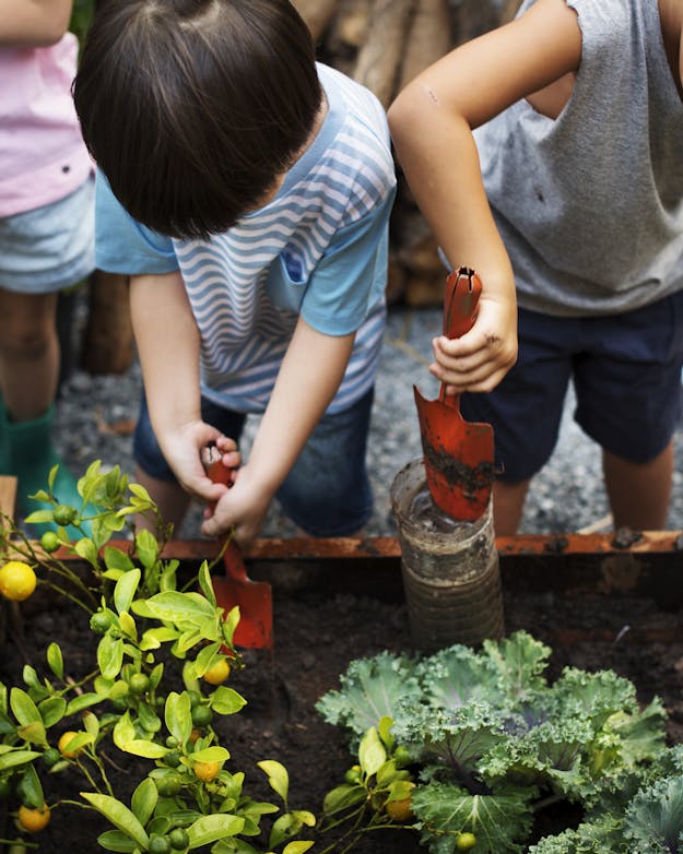 Kinderen in schooltuintje Kinderen in schooltuintje