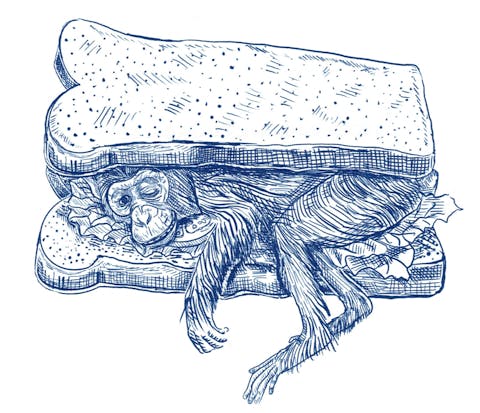 De illustraties van Margot Holtman zijn een prachtige toevoeging aan ‘Op zoek naar de waarheid’. Inkttekening van een aap tussen een belegde boterham