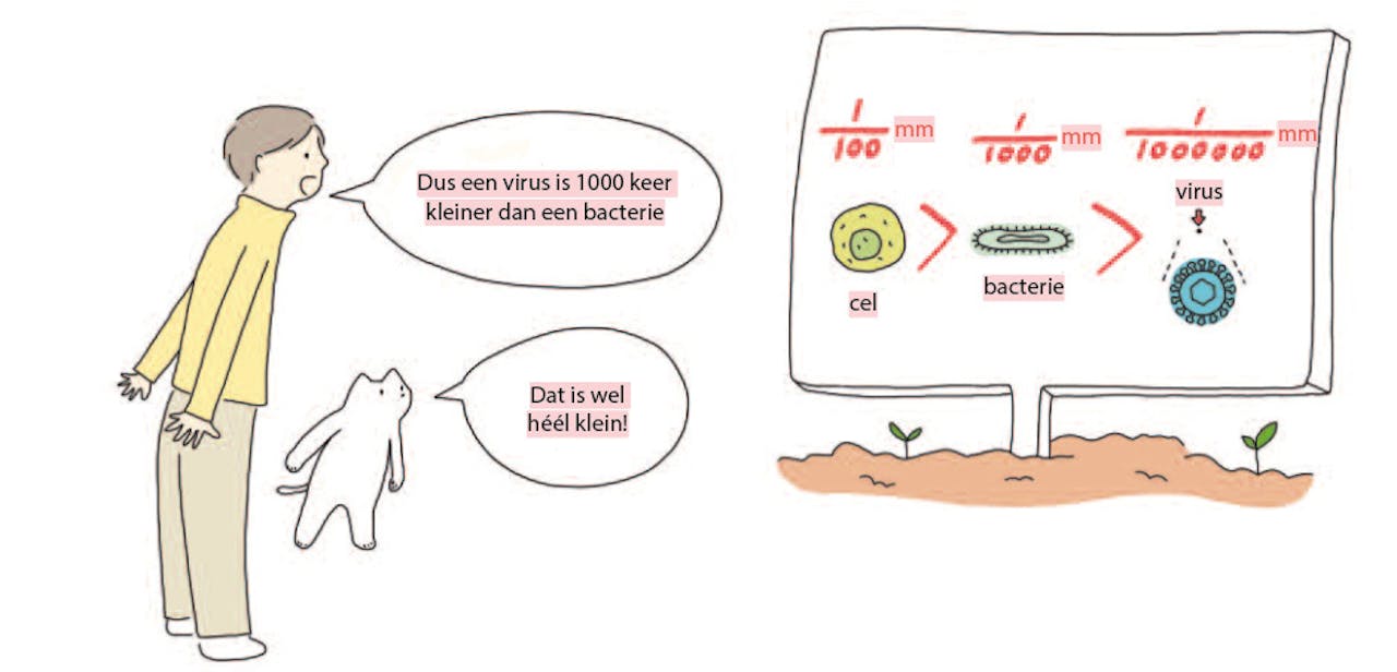 Tekening die laat zien hoe klein een cel, bacterie en virus zijn.