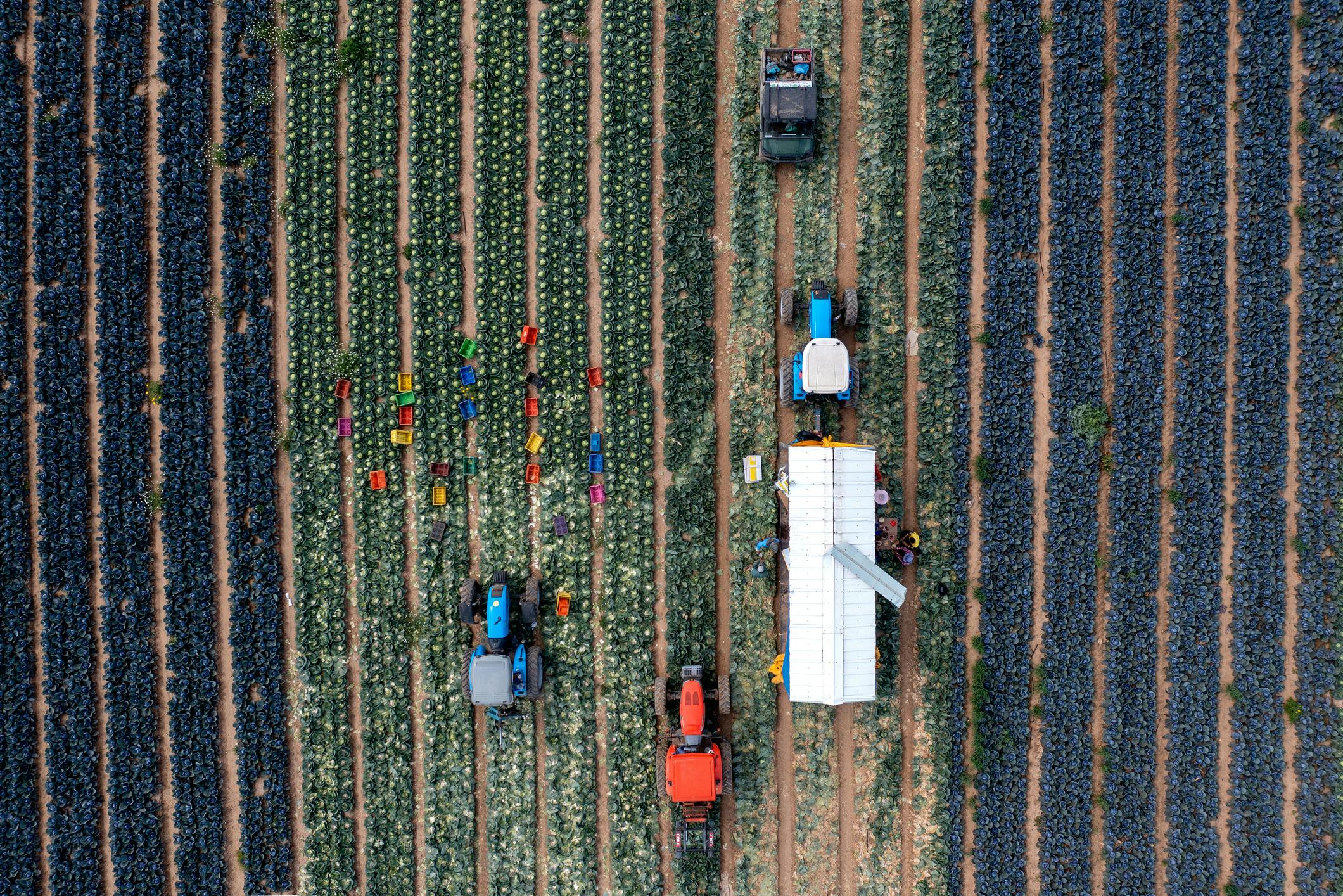 Een luchtfoto van werkzaamheden op een stuk vruchtbaar land.