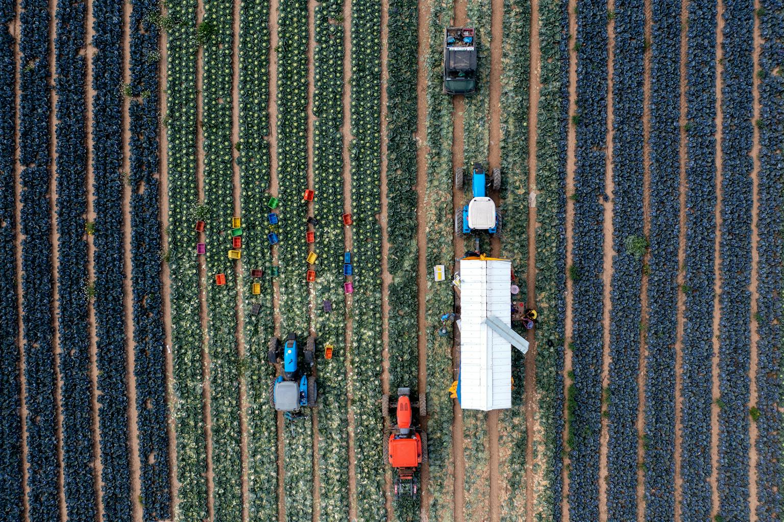 Een luchtfoto van werkzaamheden op een stuk vruchtbaar land.