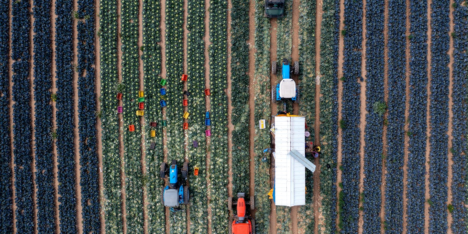 Een luchtfoto van werkzaamheden op een stuk vruchtbaar land.