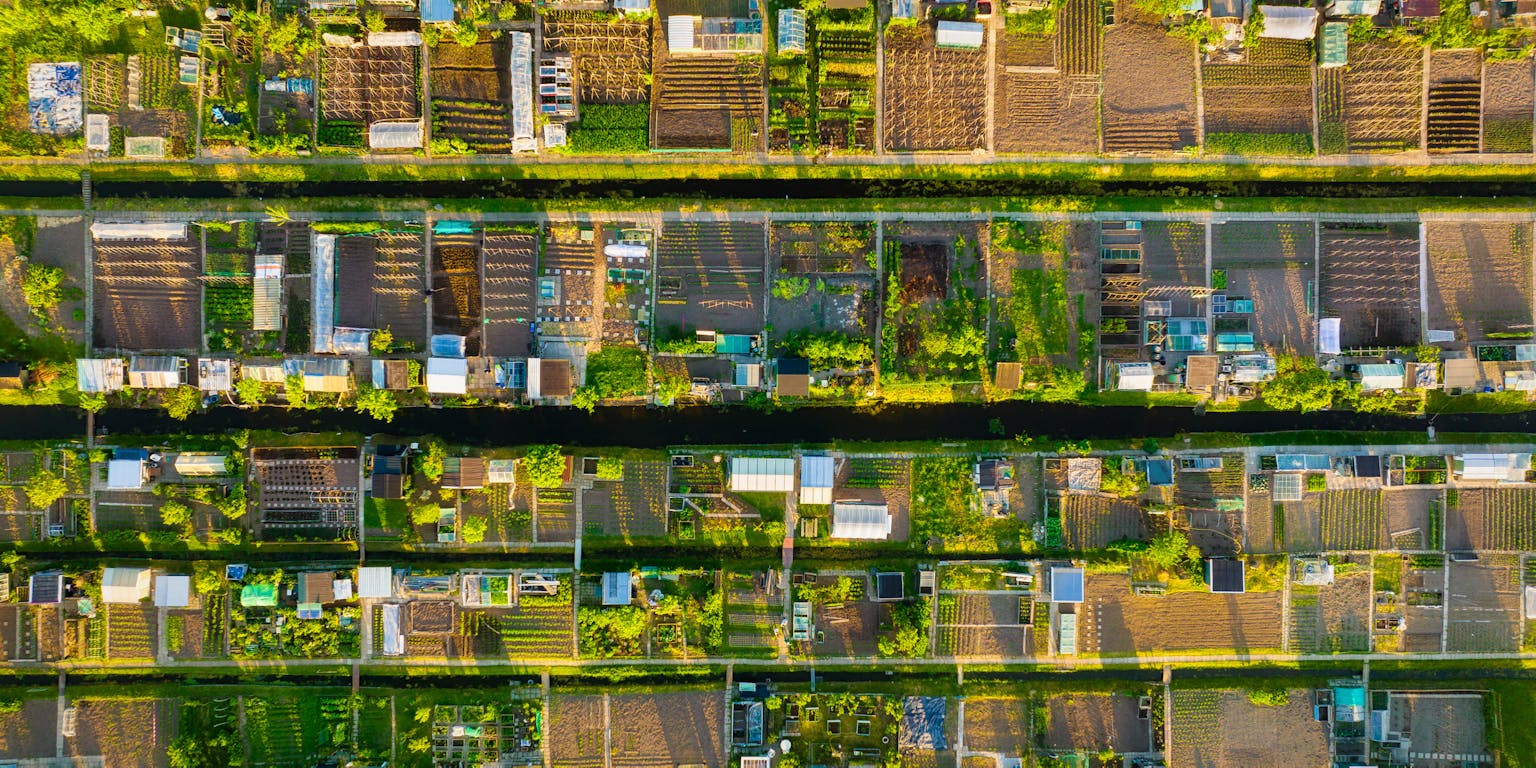 Luchtfoto recht van boven van volkstuintjes met horizontaal lange paden erlangs