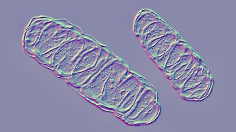 Microscopische foto van mitochondriën