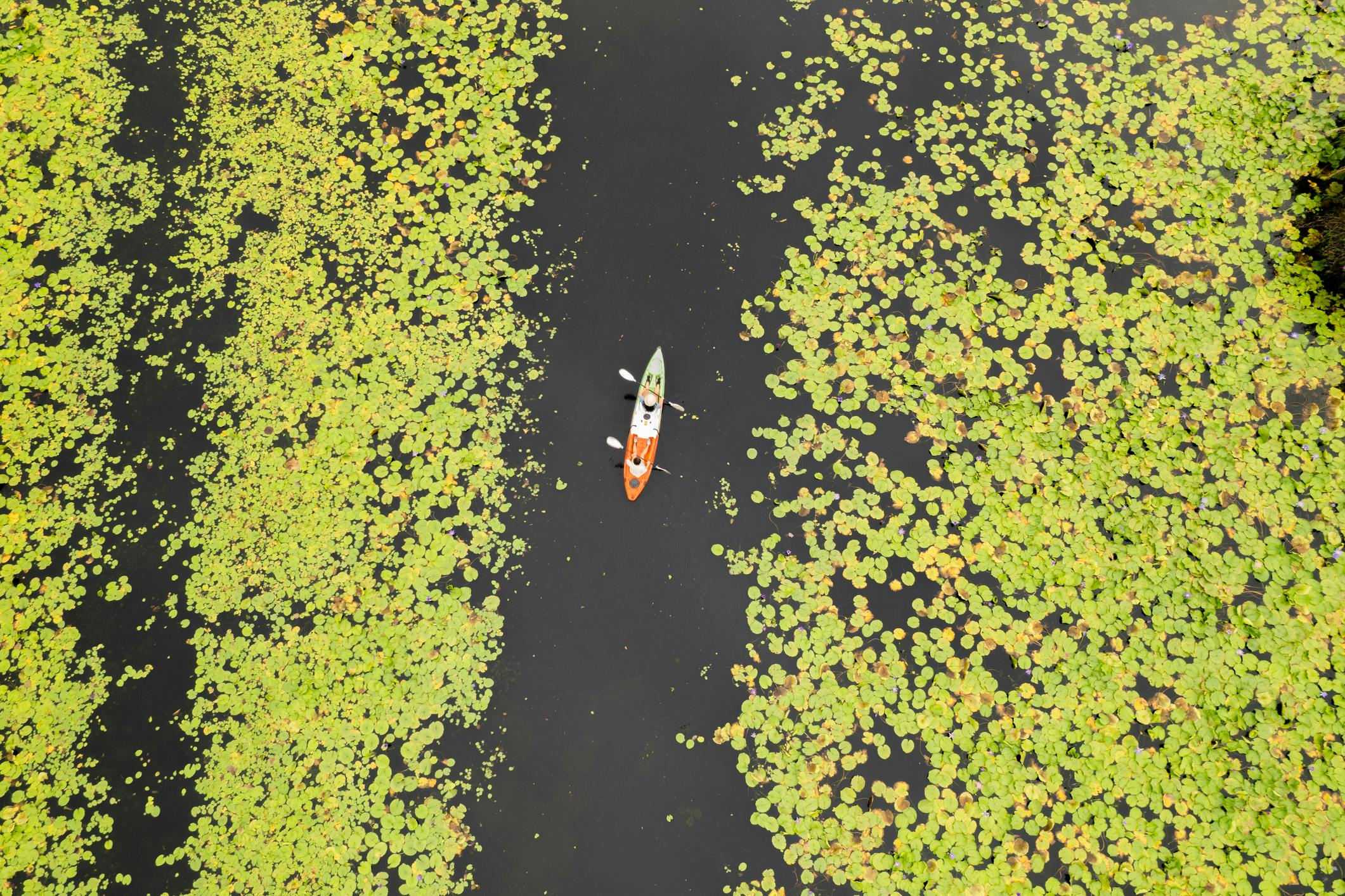 Een luchtfoto van een kano in een rivier met aan weerszijden bomen met gele bladeren.