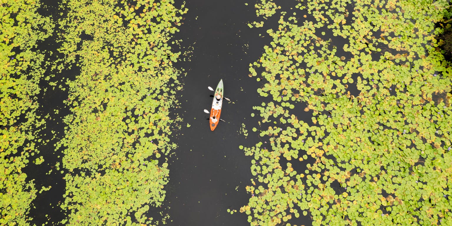Een luchtfoto van een kano in een rivier met aan weerszijden bomen met gele bladeren.