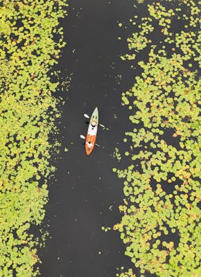 Een luchtfoto van een kano in een rivier met aan weerszijden bomen met gele bladeren.