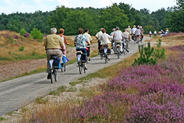 Een grote groep ouderen fietst op een zomerse dag over de hei