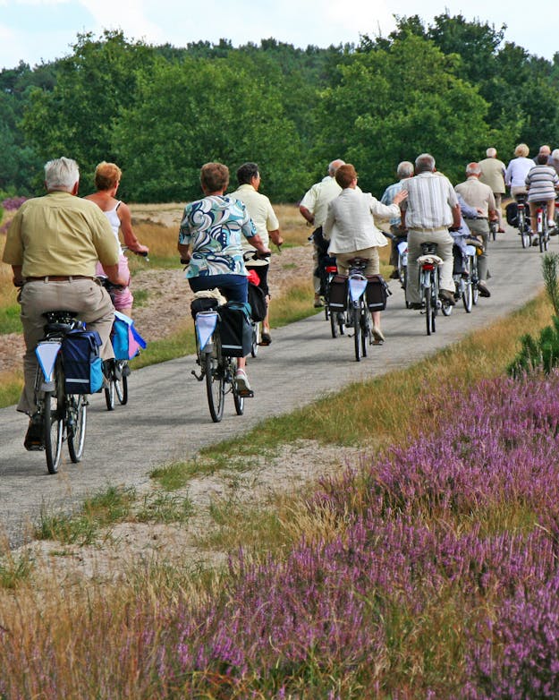 Een grote groep ouderen fietst op een zomerse dag over de hei Een grote groep ouderen fietst op een zomerse dag over de hei