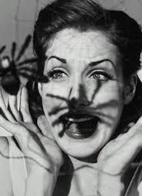 Zwart-witfoto van een vrouw met twee spinnen op haar gezicht.