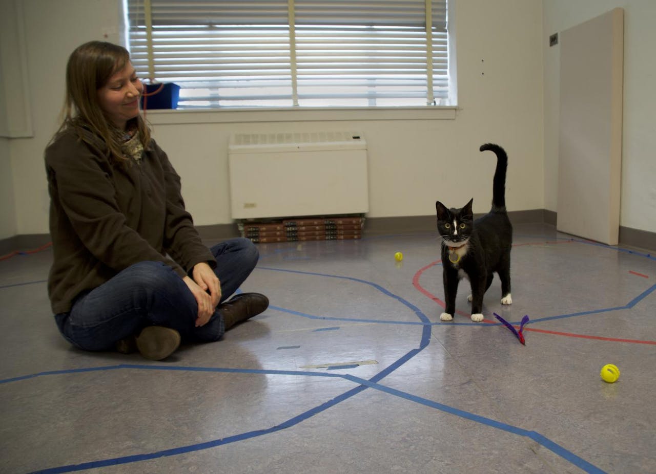 Een vrouw zit op de grond met een kat.