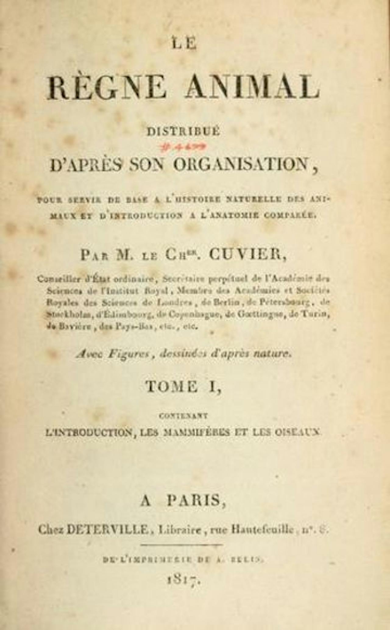 Vergeelde bladzijde van Le Règne Animal Distrubué d'après son Organisation.