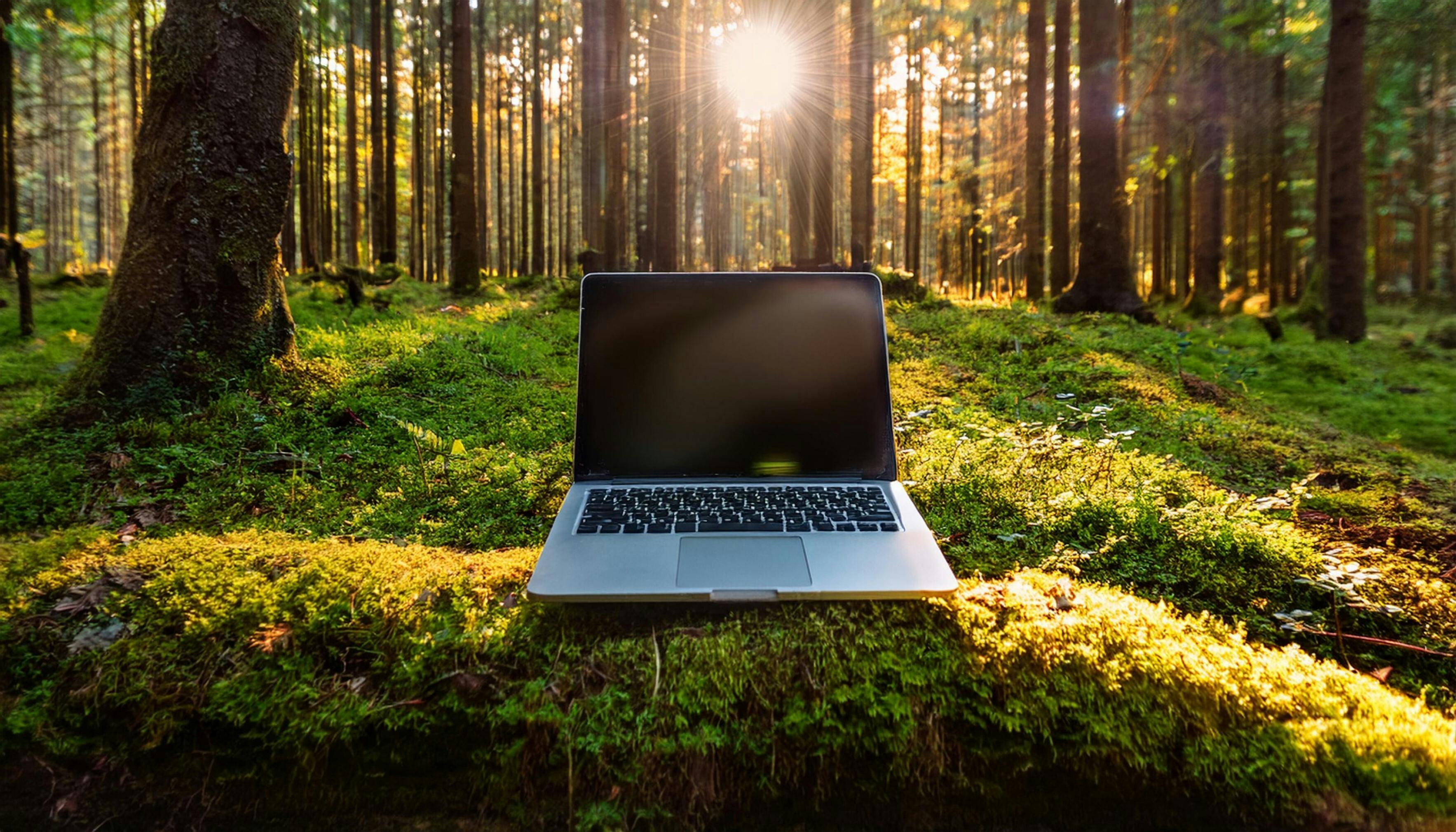 Een laptop in het bos met zonnestralen op de laptop