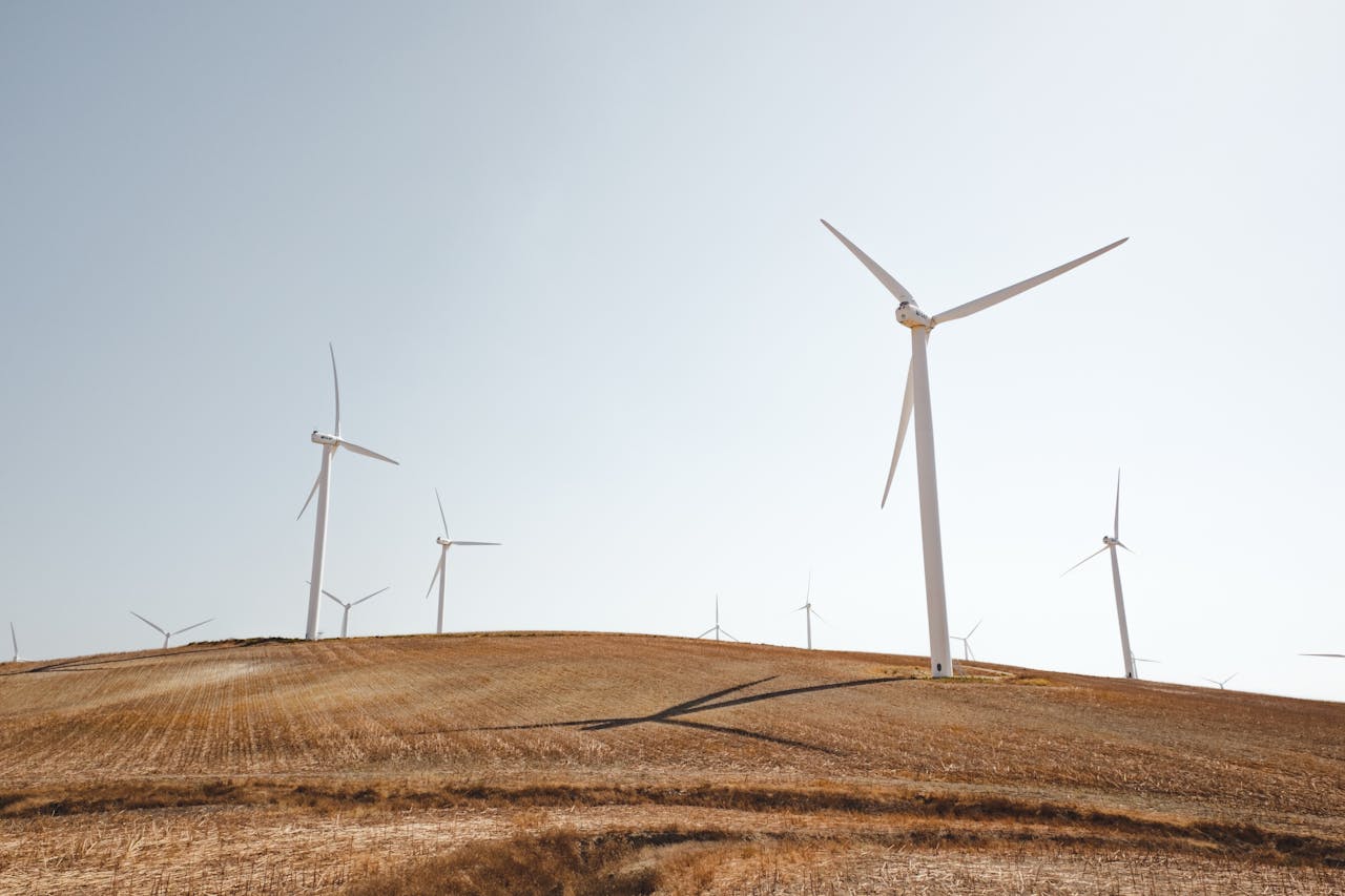 Een groep windturbines in een veld.