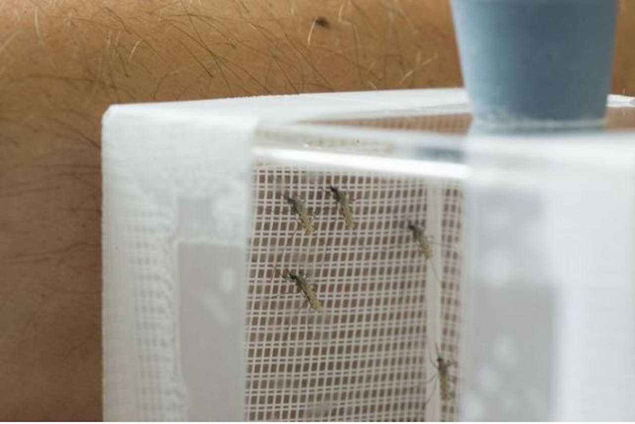 Doos waar vrijwilligers hun arm insteken, om zich door met malaria besmette muggen te laten bijten.