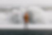 Een man met gele regenjas staat tijdens een storm aan zee en kijkt naar de hoog opspattende golven