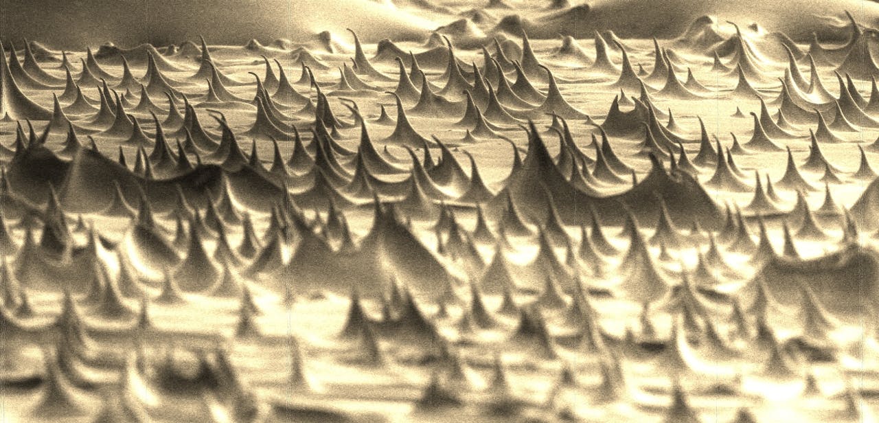 Vanuit dit perspectief lijken de haartjes wel een foto van een exotische planeet uit een sciencefiction-film, aldus Ye Wang.