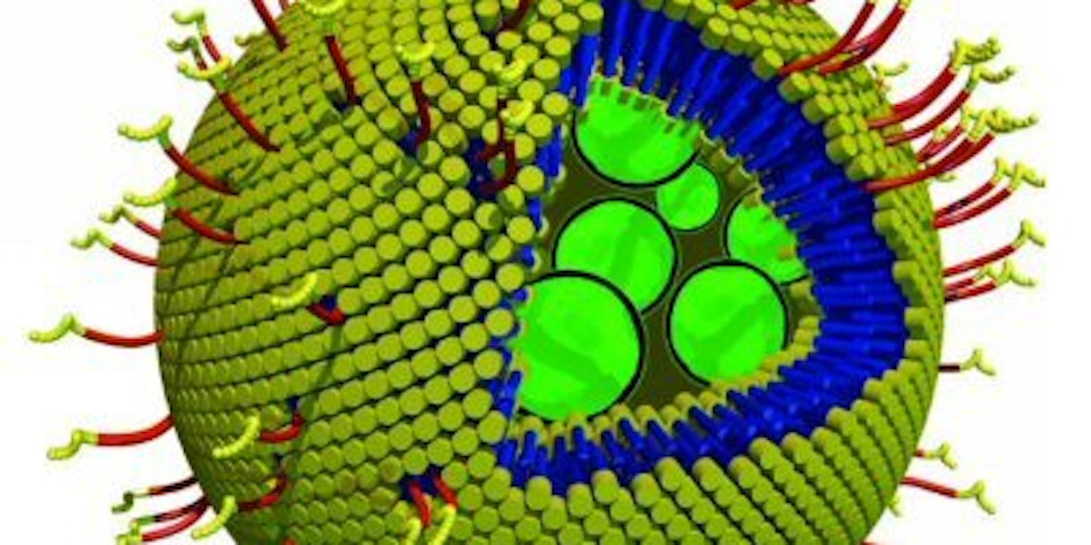 Een illustratie van een kunstmatige organel