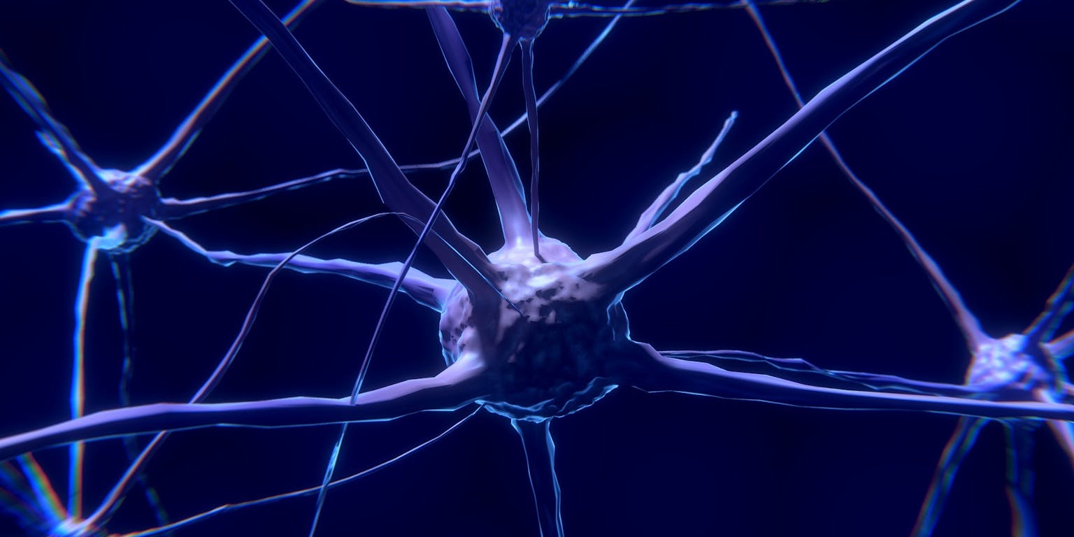 Een close-up van een neuron.
