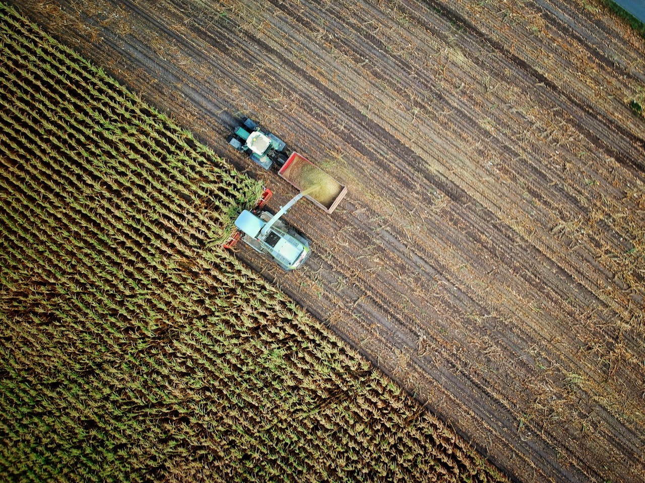 Een luchtfoto van een tractor in een maïsveld.