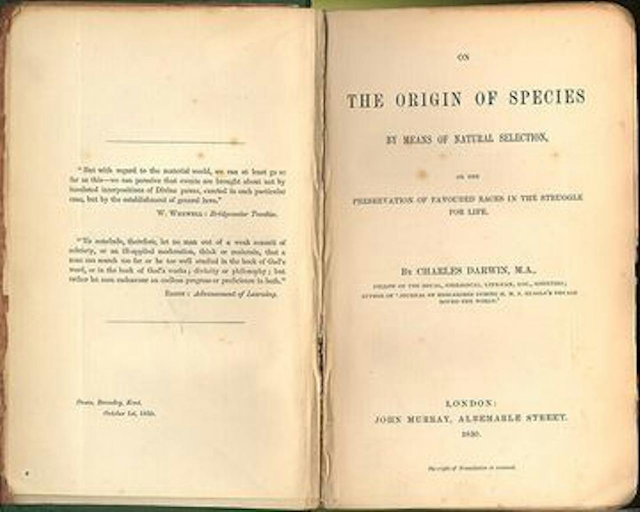 Twee vergeelde bladzijdes van the Origin of Species.