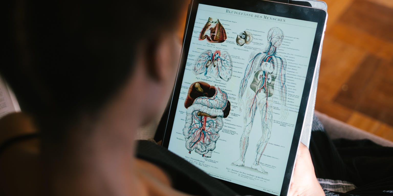 Een vrouw kijkt naar een medisch diagram op een tablet.
