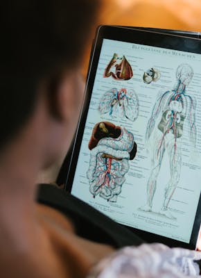 Een vrouw kijkt naar een medisch diagram op een tablet.