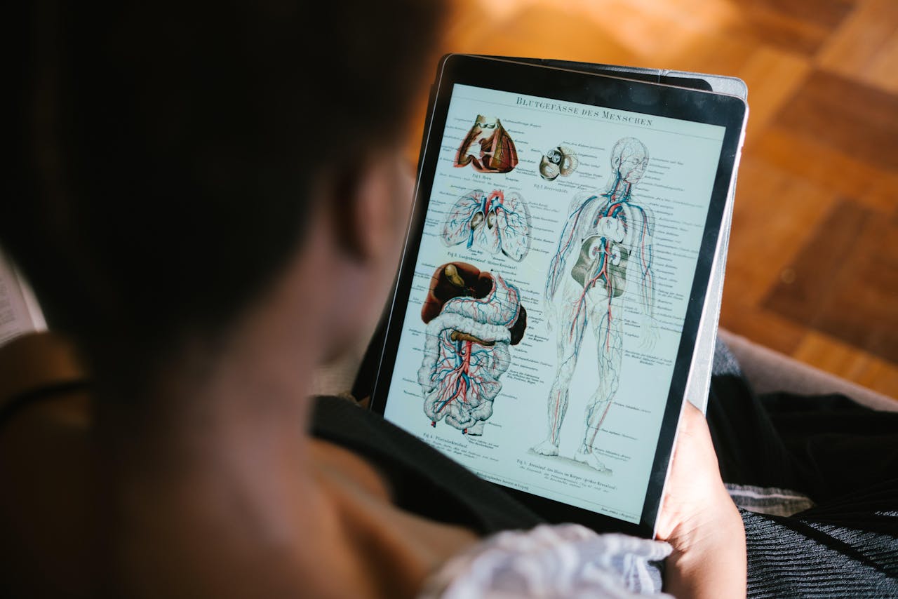 Een vrouw kijkt naar een medisch diagram op een tablet.