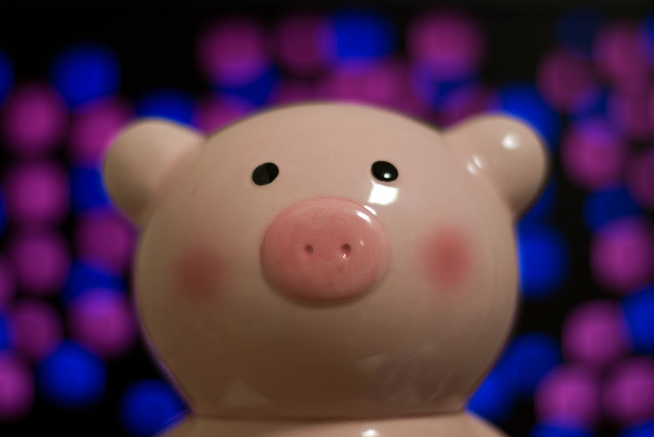 Ook het toekennen van subsidies aan de betrokken partijen bij referenda is soms omstreden. Zoals de recente toekenning van 47.973 euro door de referendumcommissie aan bedrijf Raspoetin in Elst voor het laten bedrukken van wc-rollen met argumenten tegen toetreding van Oekraïne tot de EU.