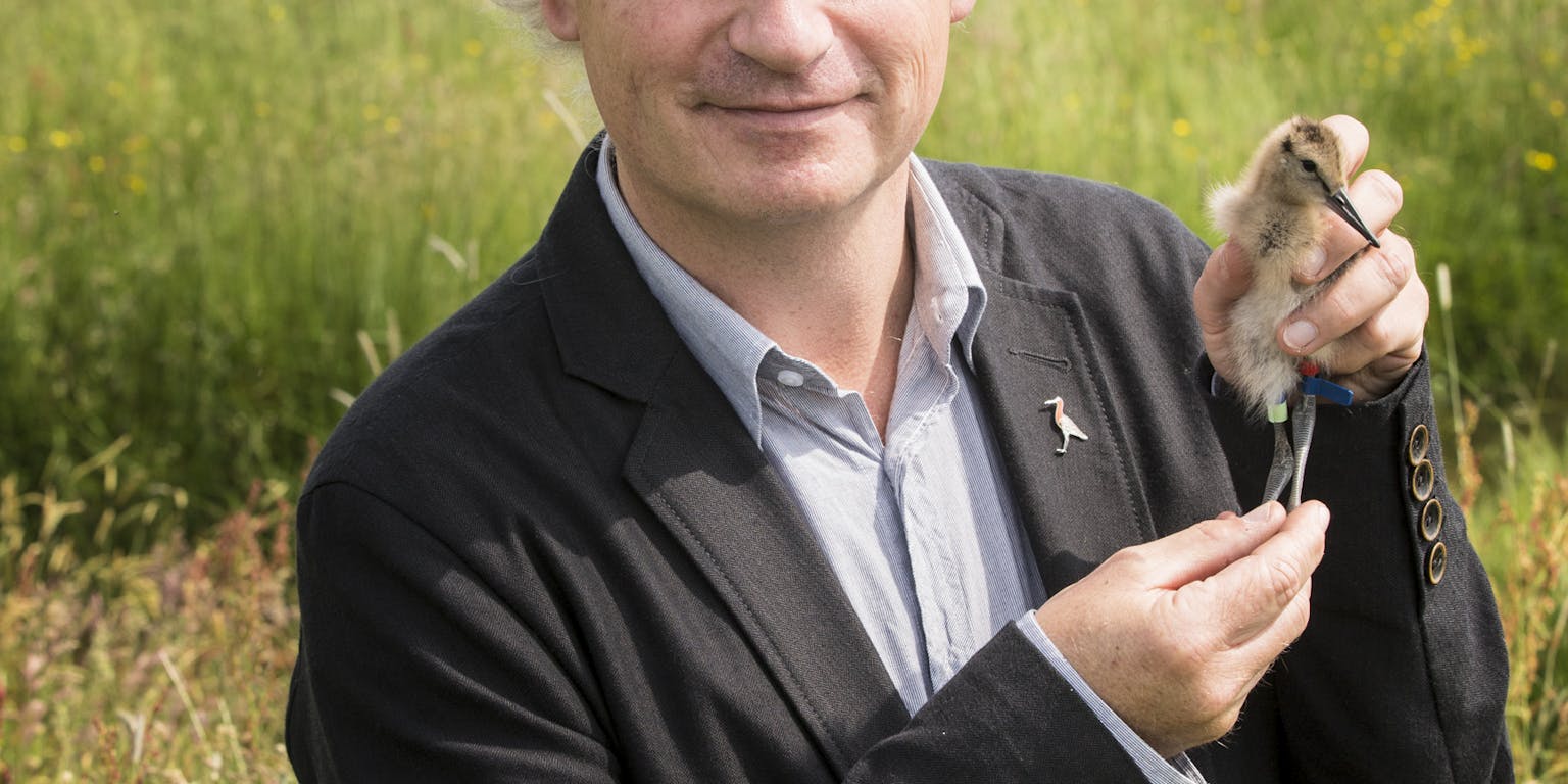 Een kleurenfoto van bioloog Theunis Piersma. Hij staat in een weiland en heeft een trekvogel in zijn hand.
