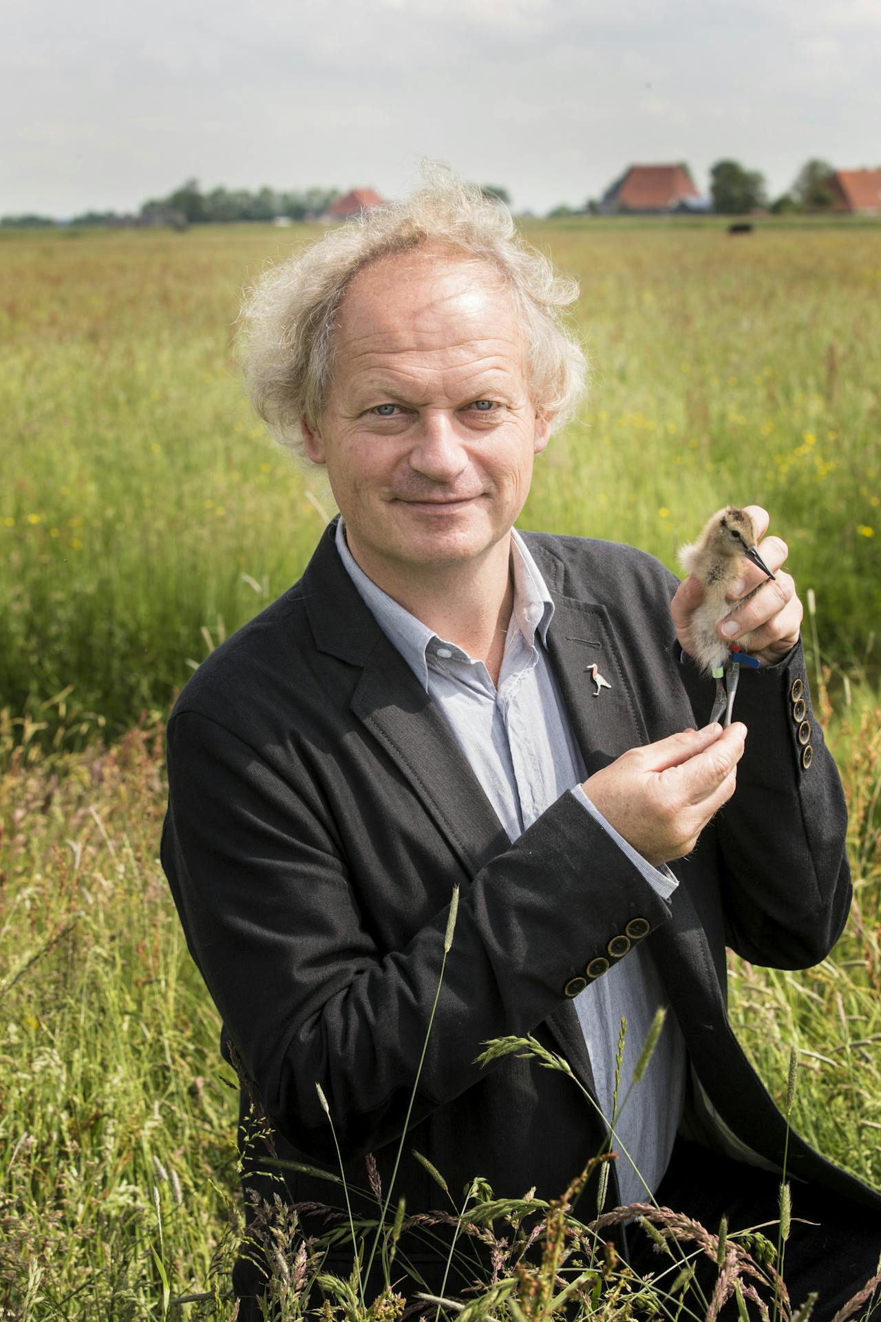 Een kleurenfoto van bioloog Theunis Piersma. Hij staat in een weiland en heeft een trekvogel in zijn hand.