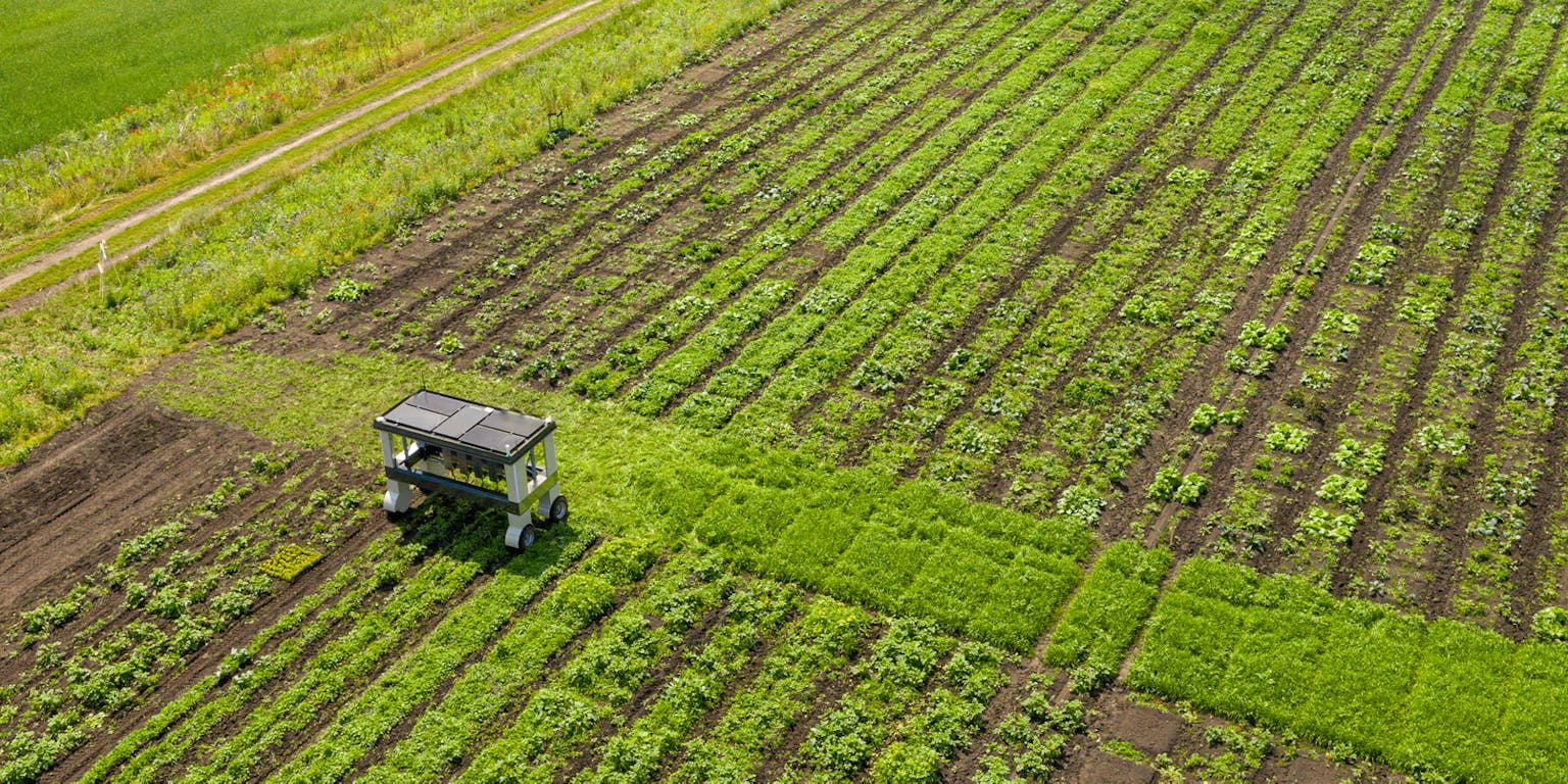 Een luchtfoto van landbouwgrond.