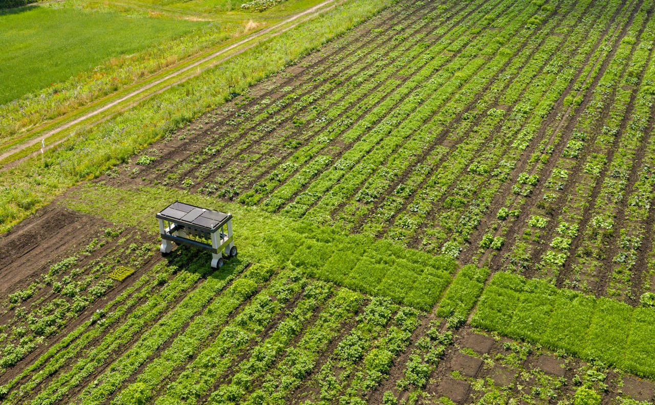 Een luchtfoto van landbouwgrond.