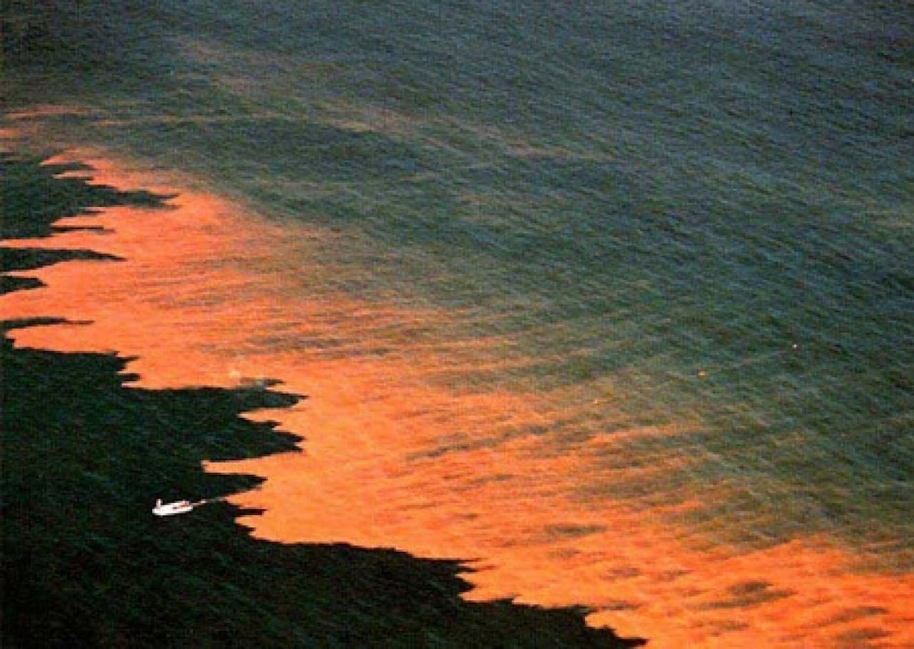 Een foto van 'red tide' of rode gloed in de zee, als gevolg van veel zeevonk.