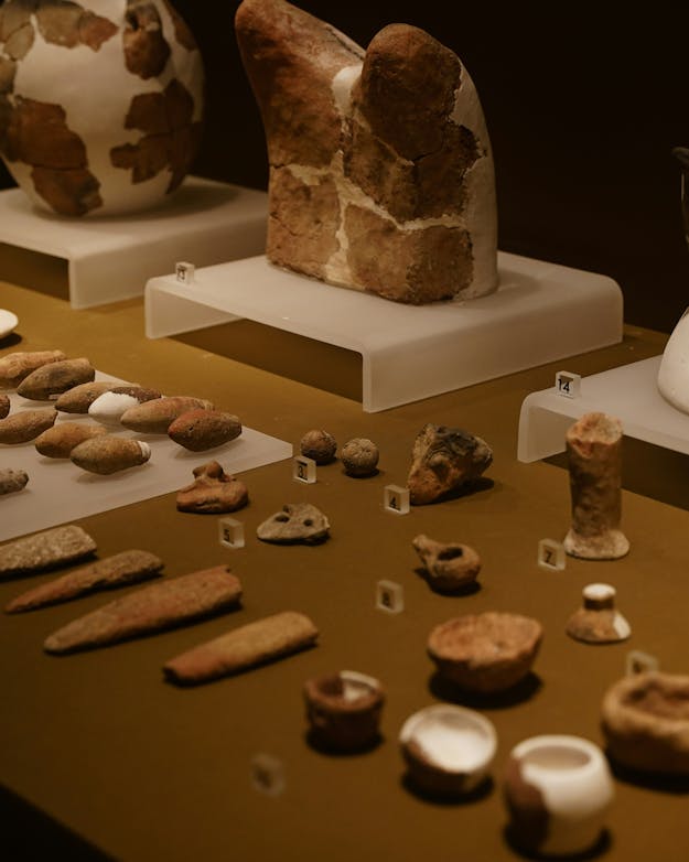 Archeologische vondsten zoals potten, stenen werktuigen en bekers liggen uitgestald in een donkere museumvitrine. Archeologische vondsten zoals potten, stenen werktuigen en bekers liggen uitgestald in een donkere museumvitrine.