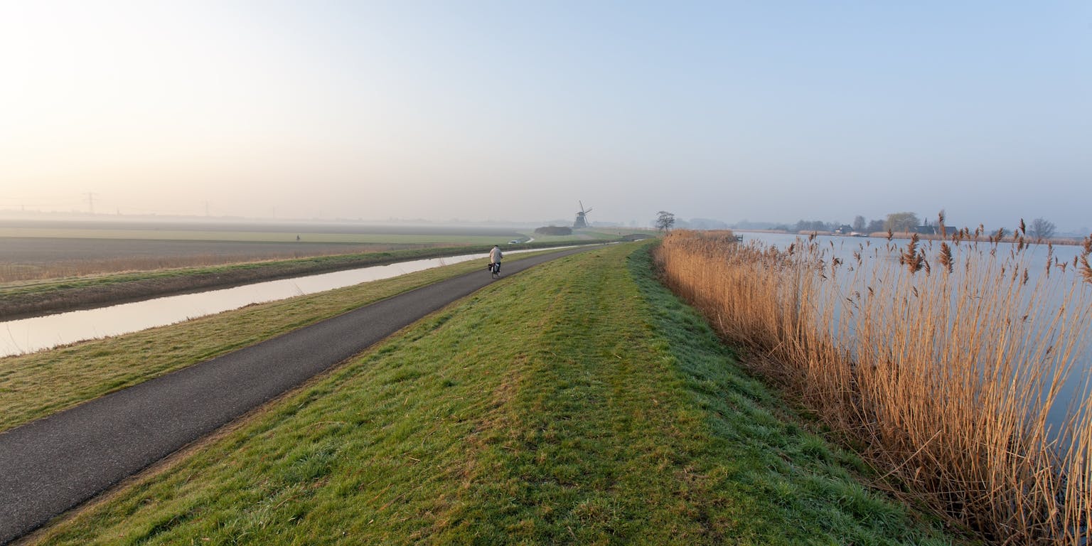 Nederlands polderlandschap