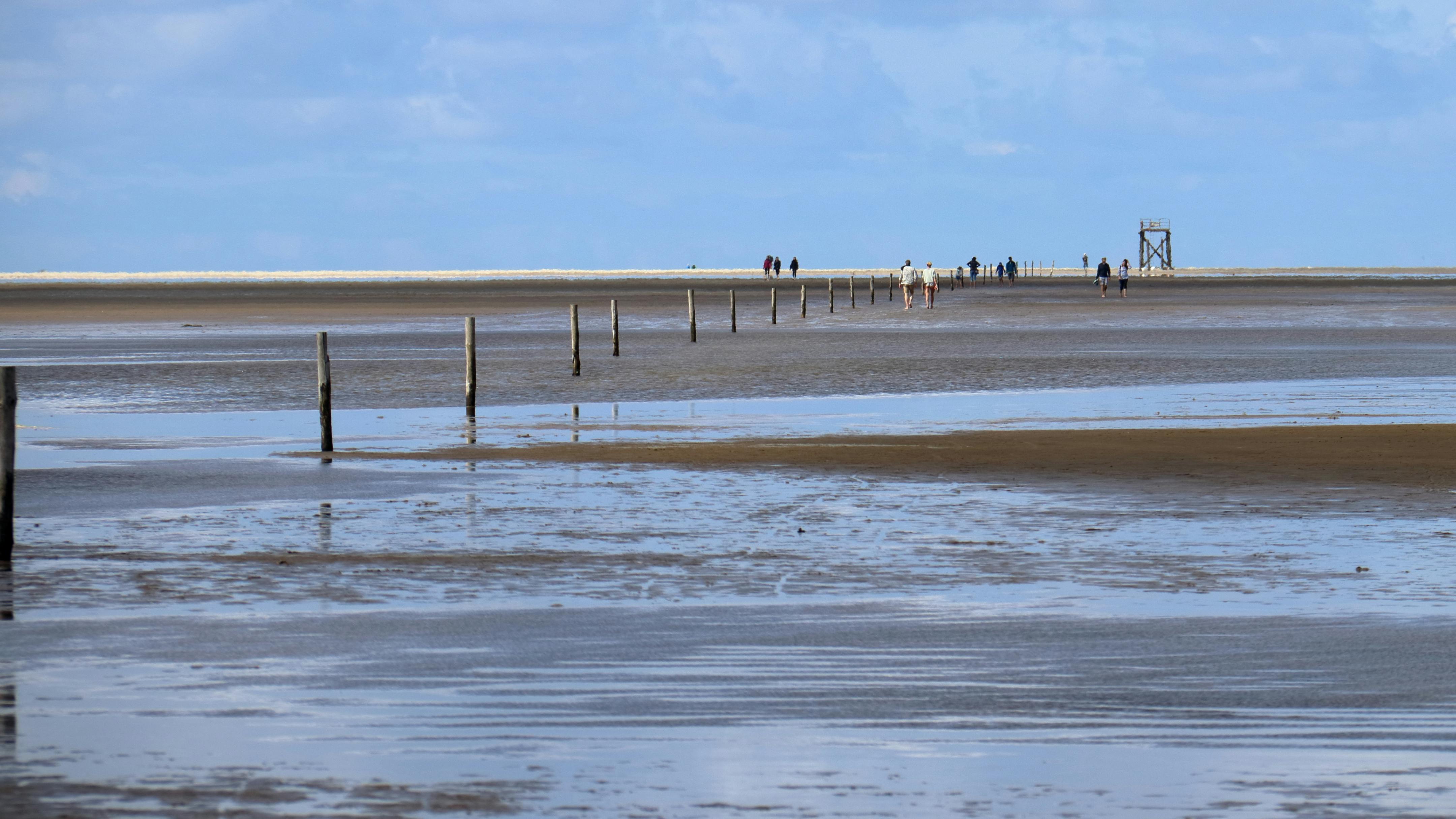 Waddenstrand