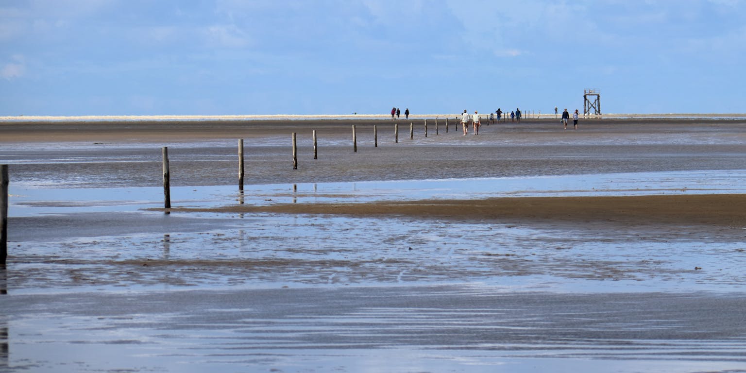 Waddenstrand