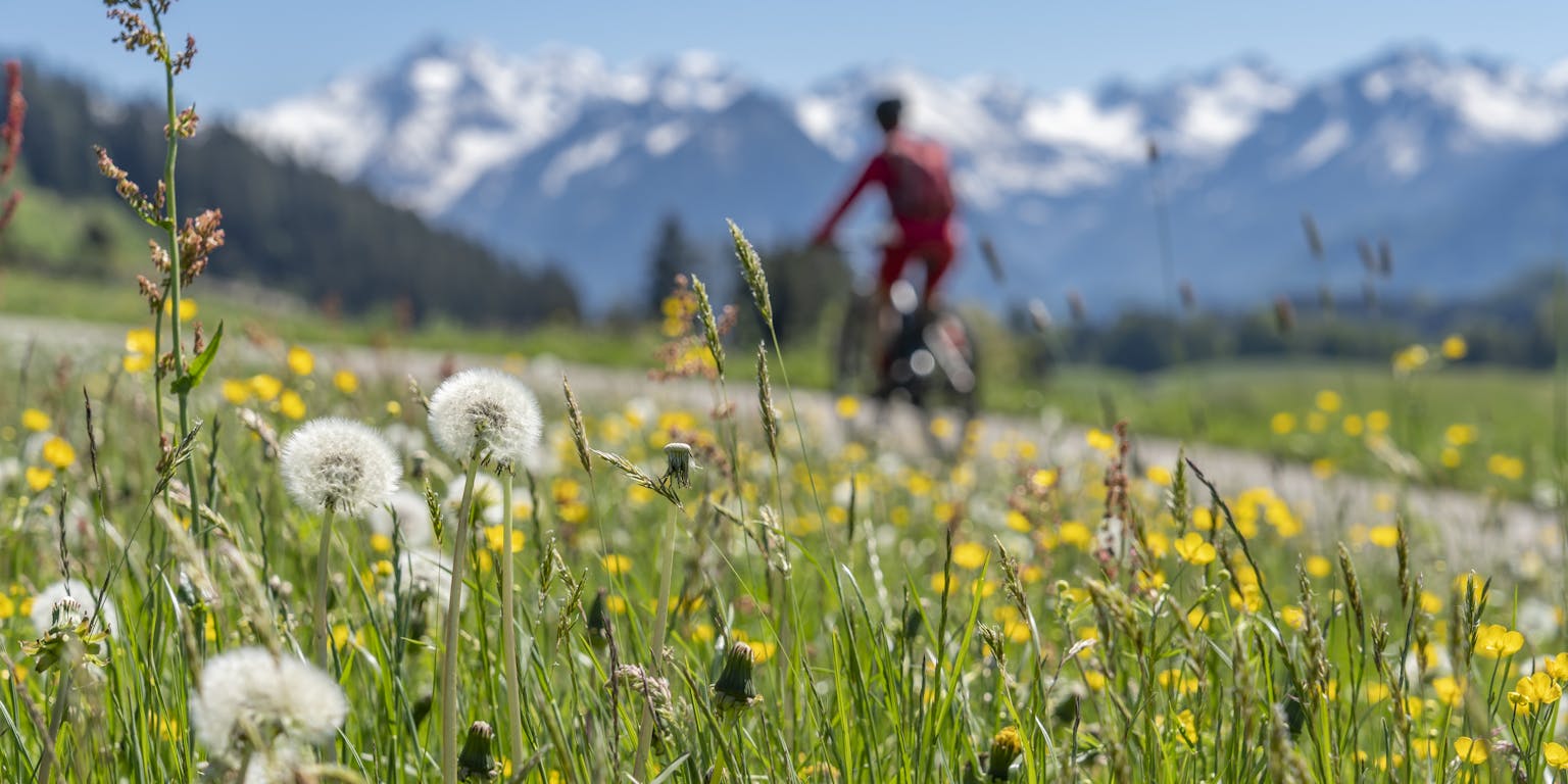 vrouw rijdt op fiets door een zwitsers berglandschap vol bloemen