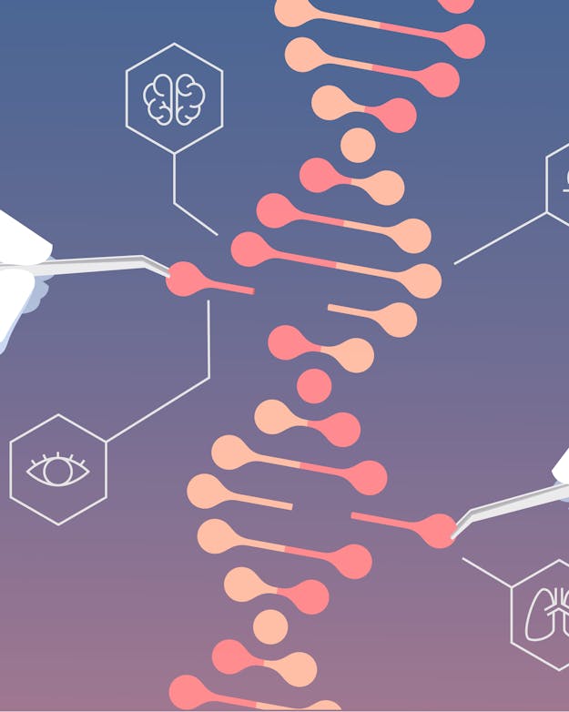 Het maken van designerbaby’s met behulp van CRISPR-Cas lijkt zo makkelijk, maar is het niet Een diagram die CRISPR-Cas weergeeft. Dit is een moderne techniek waarmee wetenschappers DNA van levende wezens nauwkeurig kunnen aanpassen.